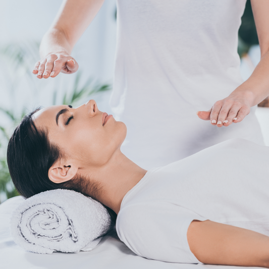 30 Mins. Reiki Energy Healing Session with Holly